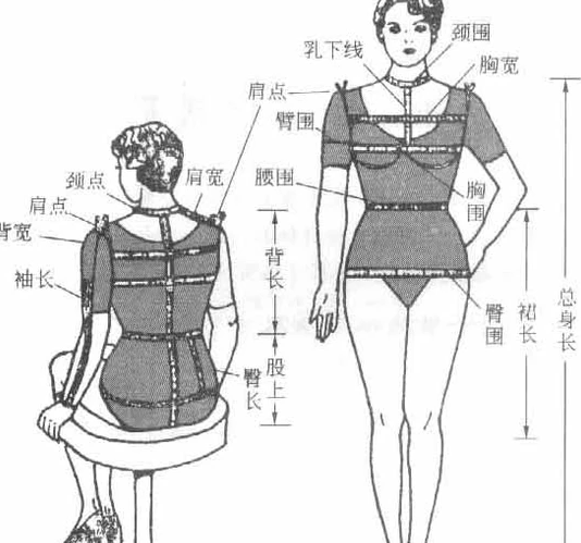 怎么测量腰围和T恤尺寸测量方法